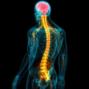 New Injection Could Help Heal Spinal Cord Injuries